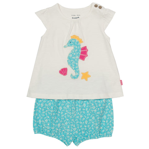 Kite Seahorse Set