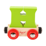 Bigjigs Rail Name
