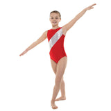 Tappers and Pointers Lycra & Platinum Shine Gymnastics Leotard